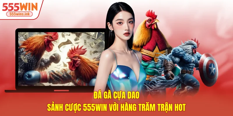 Đá Gà Cựa Dao - Sảnh Cược 555win Với Hàng Trăm Trận Hot