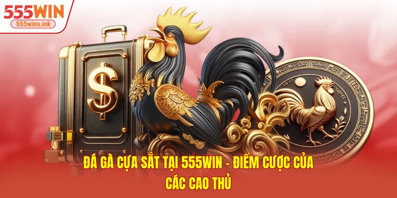 Đá Gà Cựa Sắt Tại 555win - Điểm Cược Của Các Cao Thủ