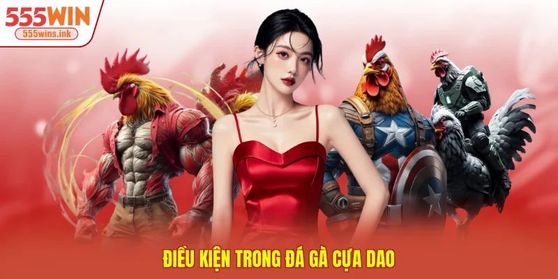 Điều kiện trong đá gà cựa dao