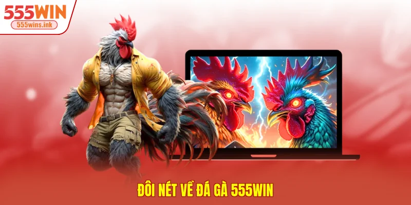 Đôi nét về đá gà 555WIN 