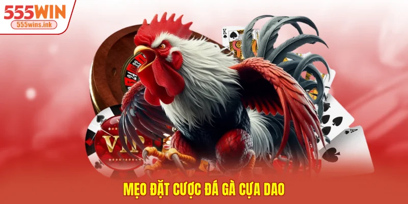 Mẹo đặt cược đá gà cựa dao 